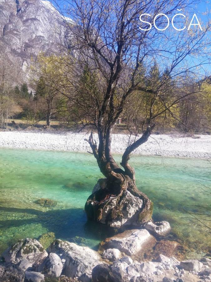 Apartma Kukc Bovec Appartement Kal-Koritnica Buitenkant foto